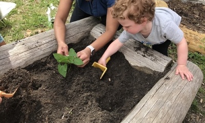 Growing Gardens & Minds 