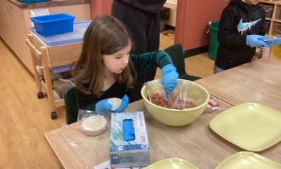 Cultural Studies: Lunar New Year Celebration