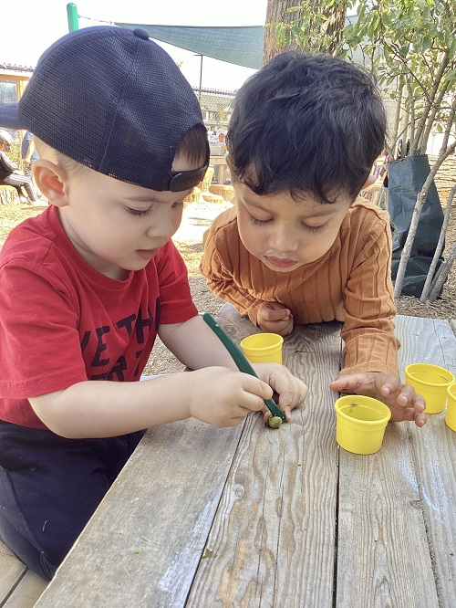 Two children investigating a natural item.