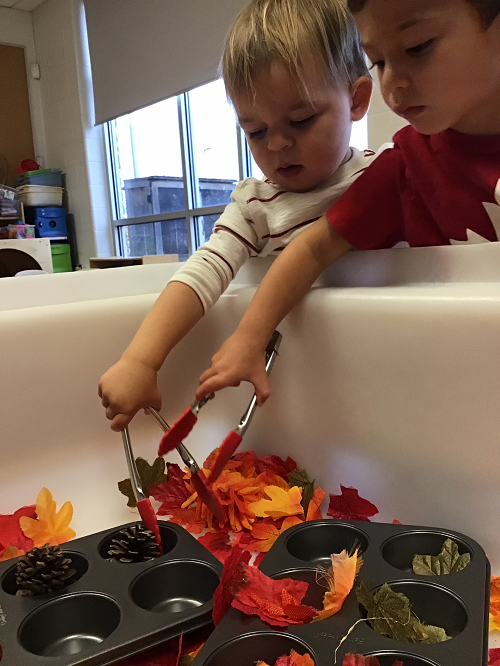 children reaching into a sensory bin full of fall themed items such as leaves