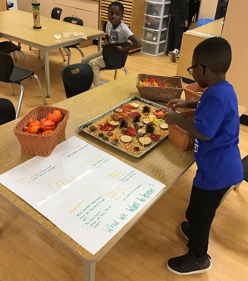 child playing in a sensory bin filled with fall/thanksgiving themed items
