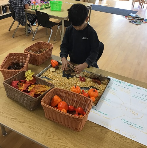 child playing in a sensory bin filled with fall/thanksgiving themed items