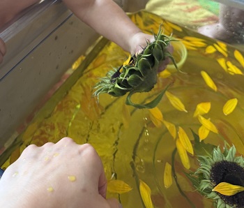 Yellow water with sunflower petals and sunflowers in it