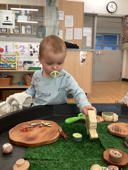 A toddler at the tuff tray exploring wooden trees