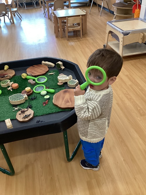 A toddler looking through a magnifying glass at plastic bugs and insects 