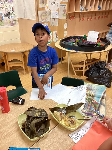 child studying sticky rice wrap