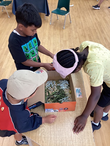 Children studying box of silkworms