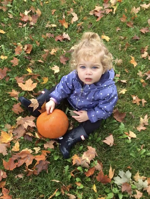 toddler girl shows the pumpkin she found