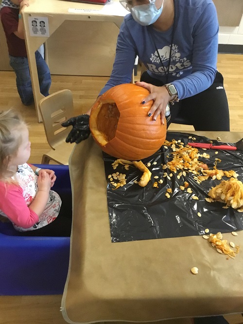 toddler girl looks inside the pumpkin to tell the educator if she can see any more seeds