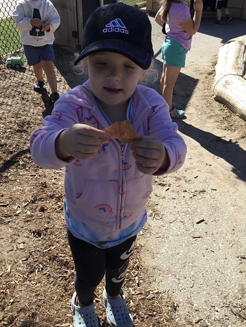 Preschool girl holding a brown fall leaf