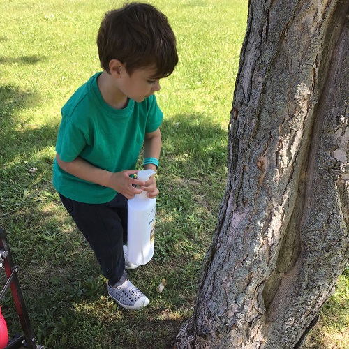 Preschool boy exploring water play at the park using a moisturizing bottle to spray a tree