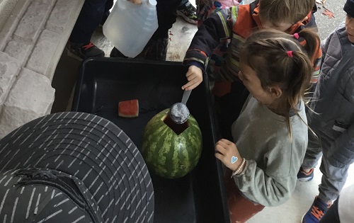 Group of school age children gathered around a sensory bin with a child scooping baking soda into a hollowed out watermelon to make a volcano