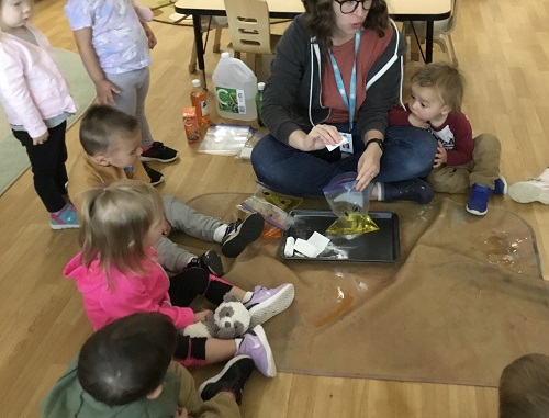 Group of toddler children gathered with an educator observing her mix baking soda and vinegar in a ziploc bag