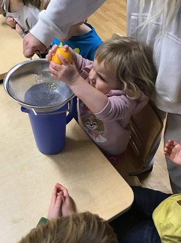 A child squeezing an orange over a strainer and juice jug
