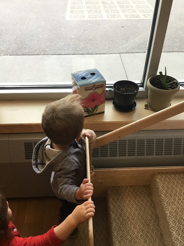 A child looking at a flower pot on the windowsill