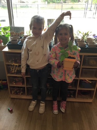 Two children standing beside each other, one is holding the bean plant in her hands