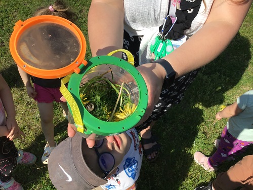 An educator holding a bug catcher for the children around her to see