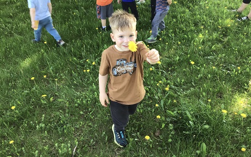 A child in the grass holding out a dandelion