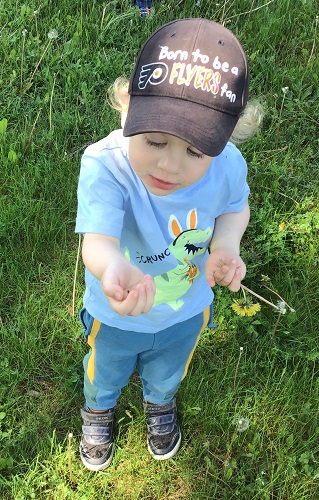 A child holding a bug in his hands