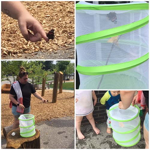 Releasing the butterflies in the playground