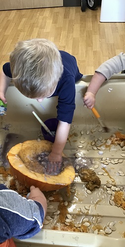 A child touching the inside of a pumpkin