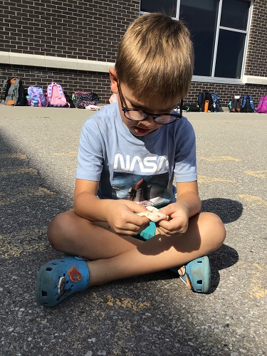 A child sitting on the blacktop with a ball of playdough in their hands