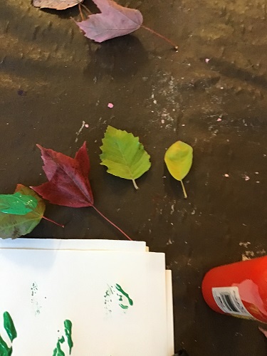 Different leaves on the table top