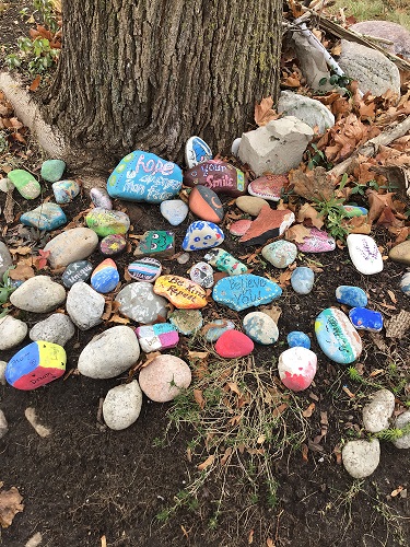 The rock garden that the infants added their painted rocks to.