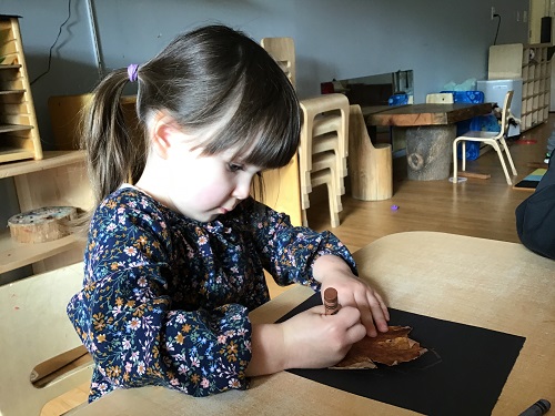 A preschooler is tracing a leaf onto black paper with a crayon.