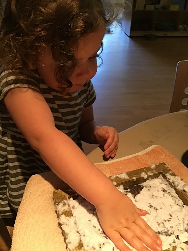 A preschooler is pressing the lavender pulp unto the screen.