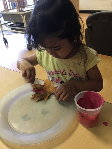 Child painting leaf