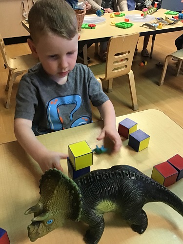 preschool boy measuring dinosaur height with blocks 