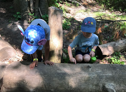 2 children inspecting a log