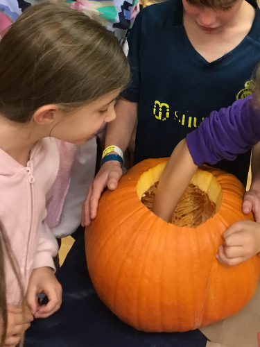 school-age girl looking into pumpkin 