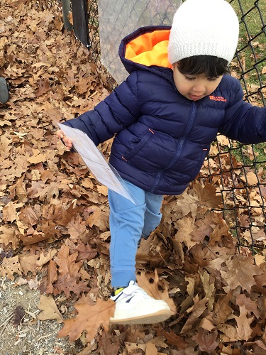 Toddler boy showing off his shoes