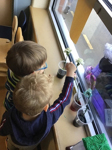 Preschool children checking on the flowers