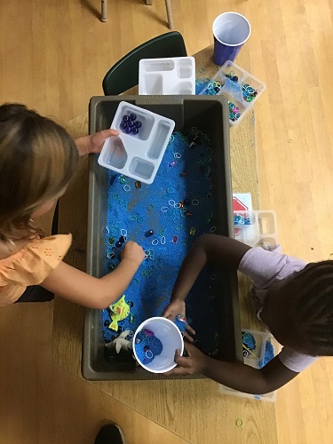 Kindergarten girls sorting through the sensory bin