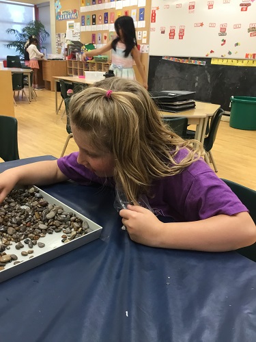 school-age girl looking at rocks