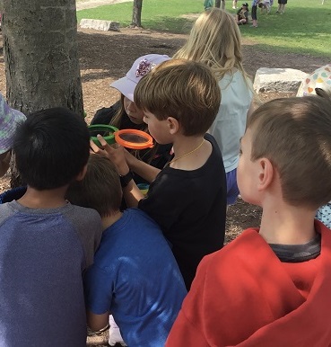 group of school age children catching bug on tree