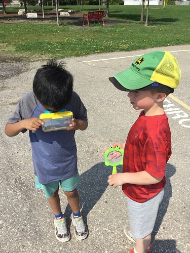 school age boy looking through bug catcher view finder 