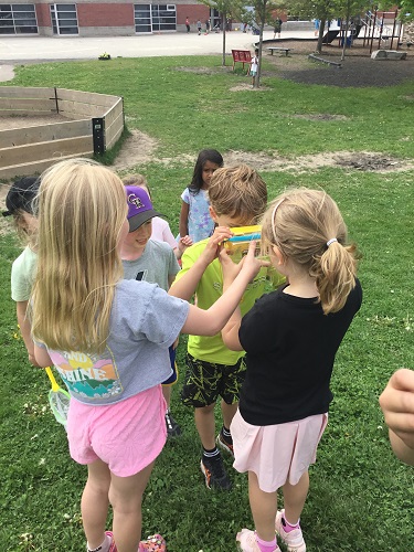 Group of school age children looking through view finder at bugs 