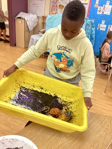 School-age boy rolling gourds in paint 