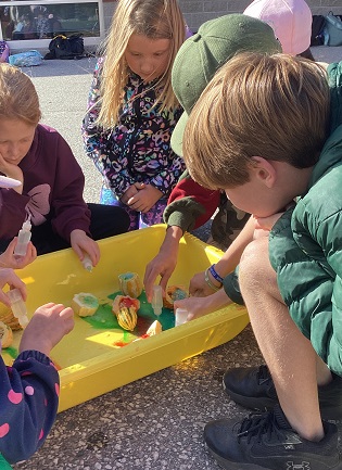 Group of school-age children around sensory bin making volcanoes from gourds