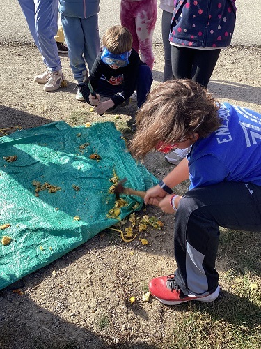 School-age boy smashing gourd with hammer