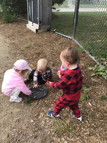 toddlers collecting acorns on playground