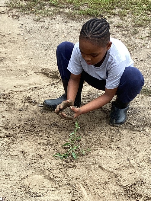 A school age child exploring dirt