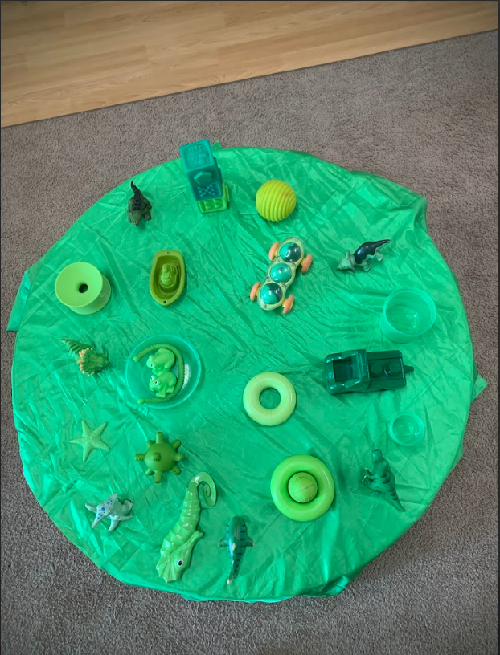 A second green provocation provided by the Educators.