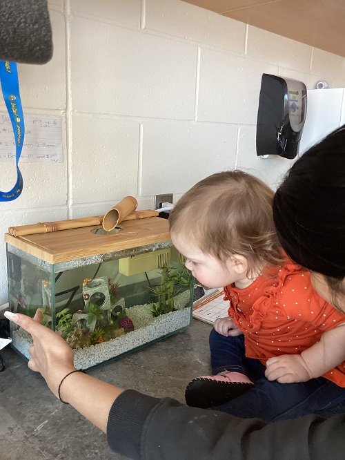 An Infant and an Educator observe the fish in the tank.