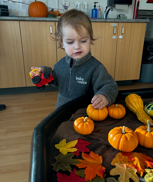 A child exploring with a tractor and pumpkins.