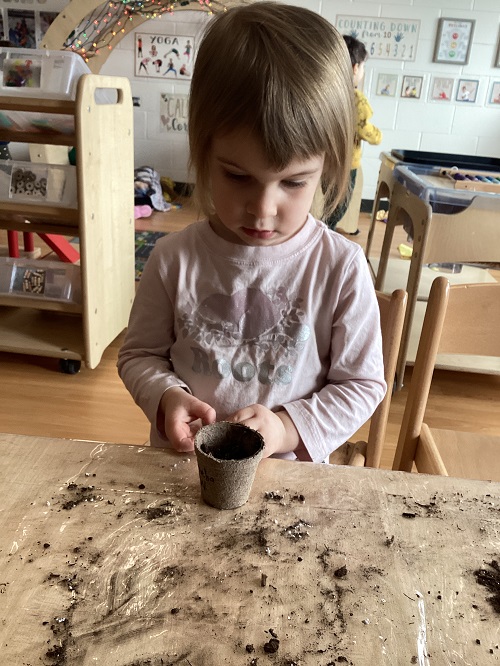 A child looking into their planter cup.